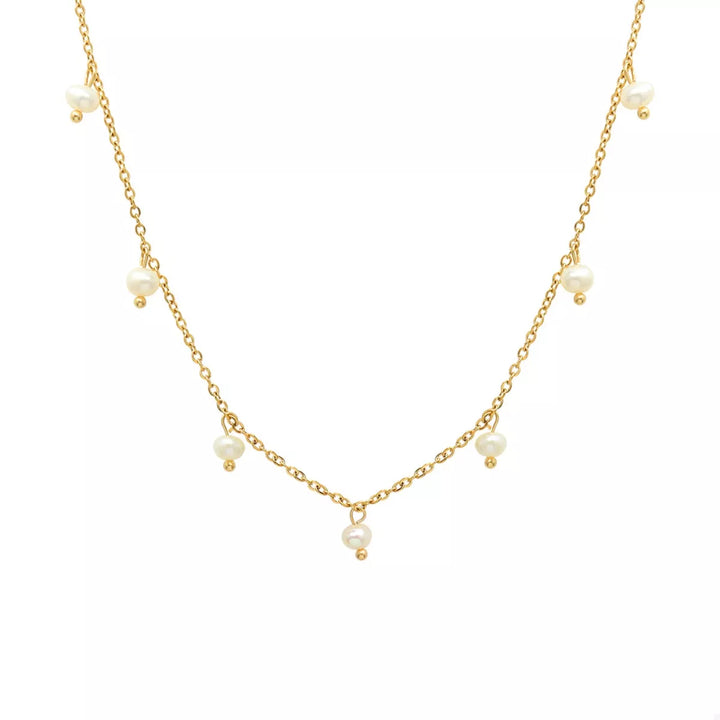 d559daf1-d3cd-49ce-a97f-a9480516d14d-Max-Origin